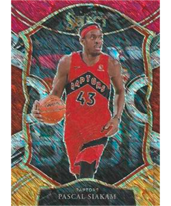 Pascal Siakam